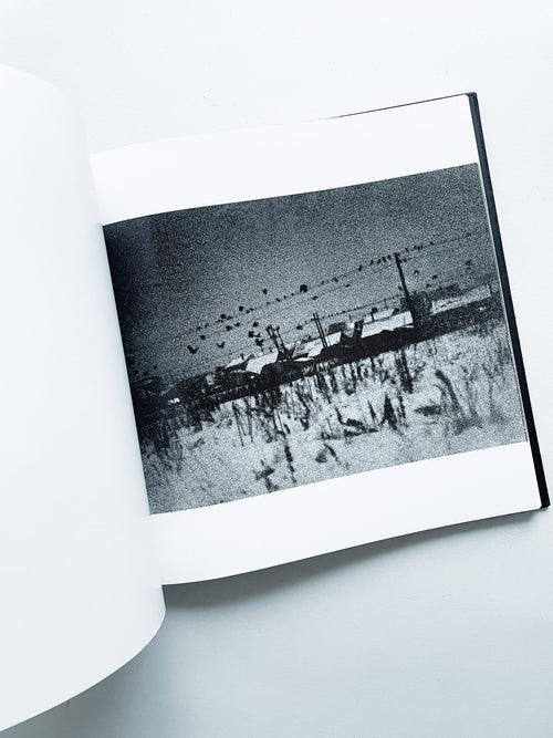 鴉 RAVENS / Masahisa Fukase