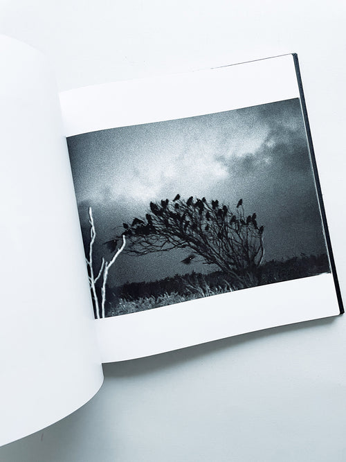 鴉 RAVENS / Masahisa Fukase