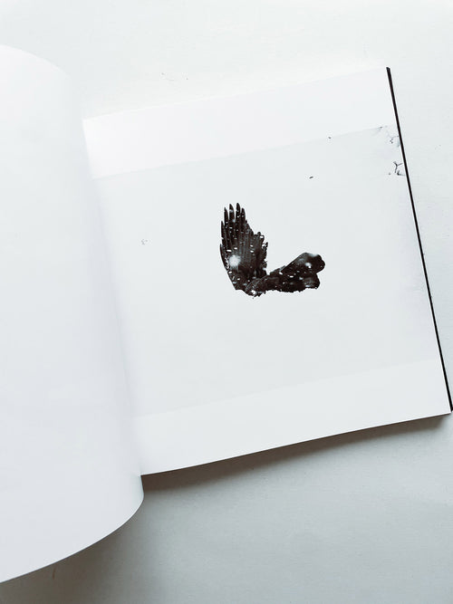 鴉 RAVENS / Masahisa Fukase