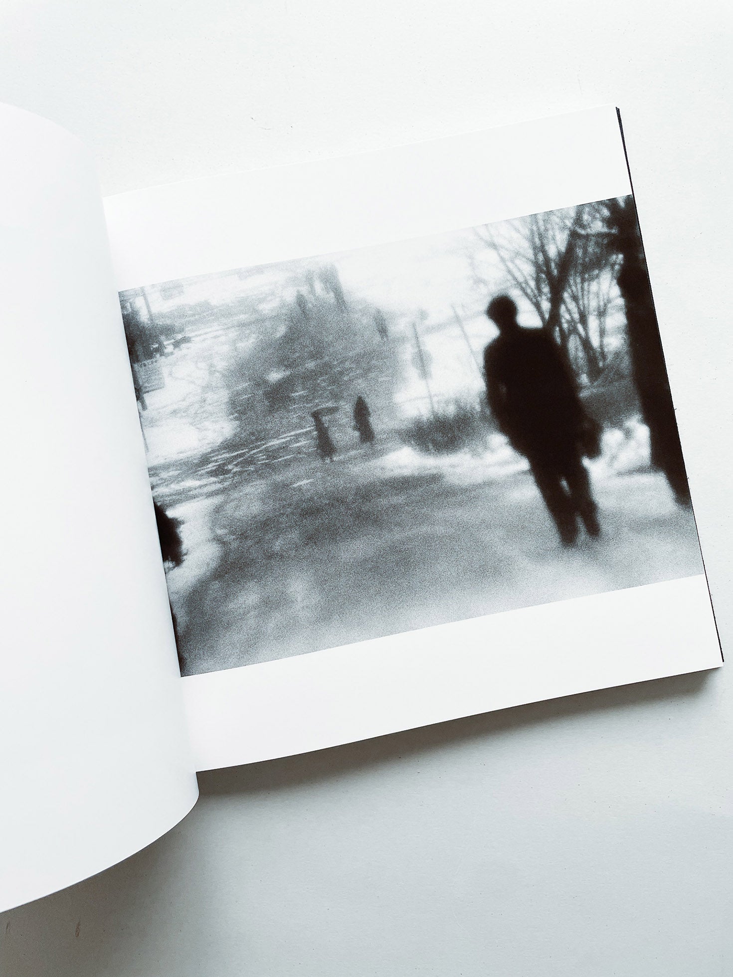 鴉 RAVENS / Masahisa Fukase