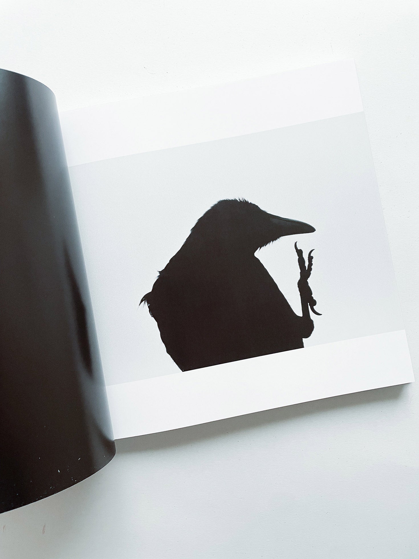 鴉 RAVENS / Masahisa Fukase