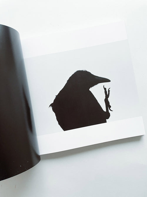 鴉 RAVENS / Masahisa Fukase