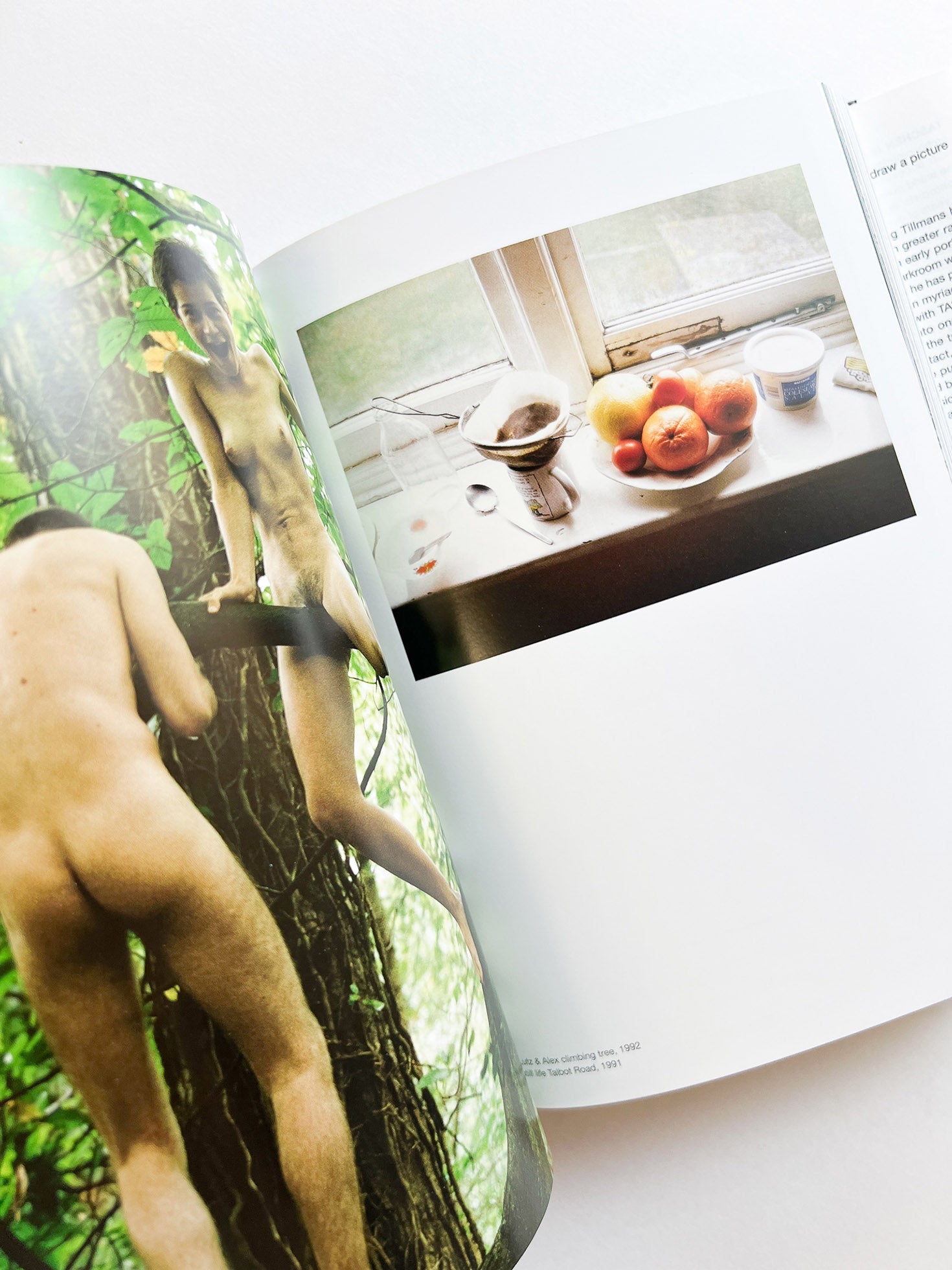 Wolfgang Tillmans. four books. 45th Ed.