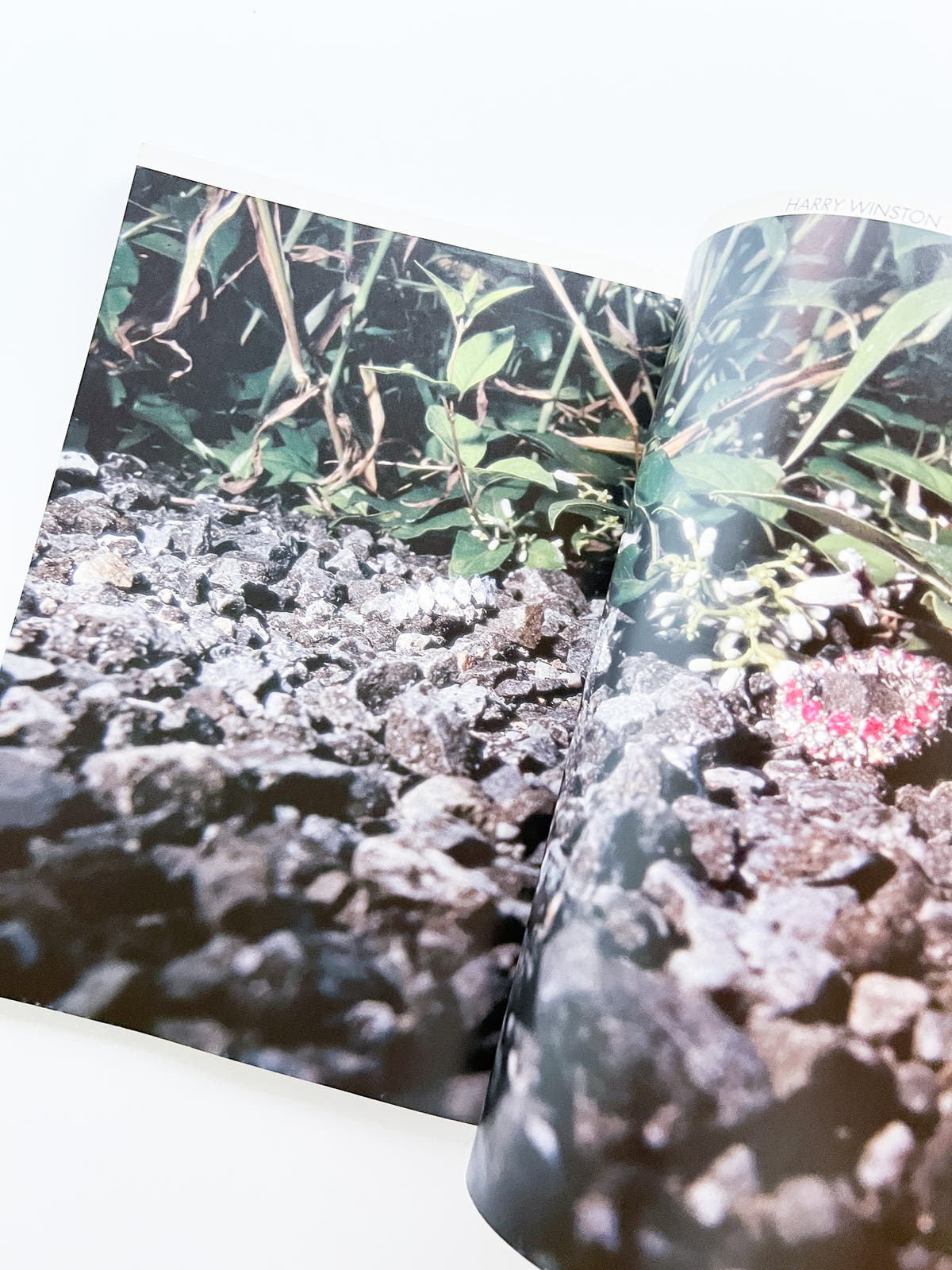 流行通信 Ryuko Tsushin vol.474 (December, 2002)