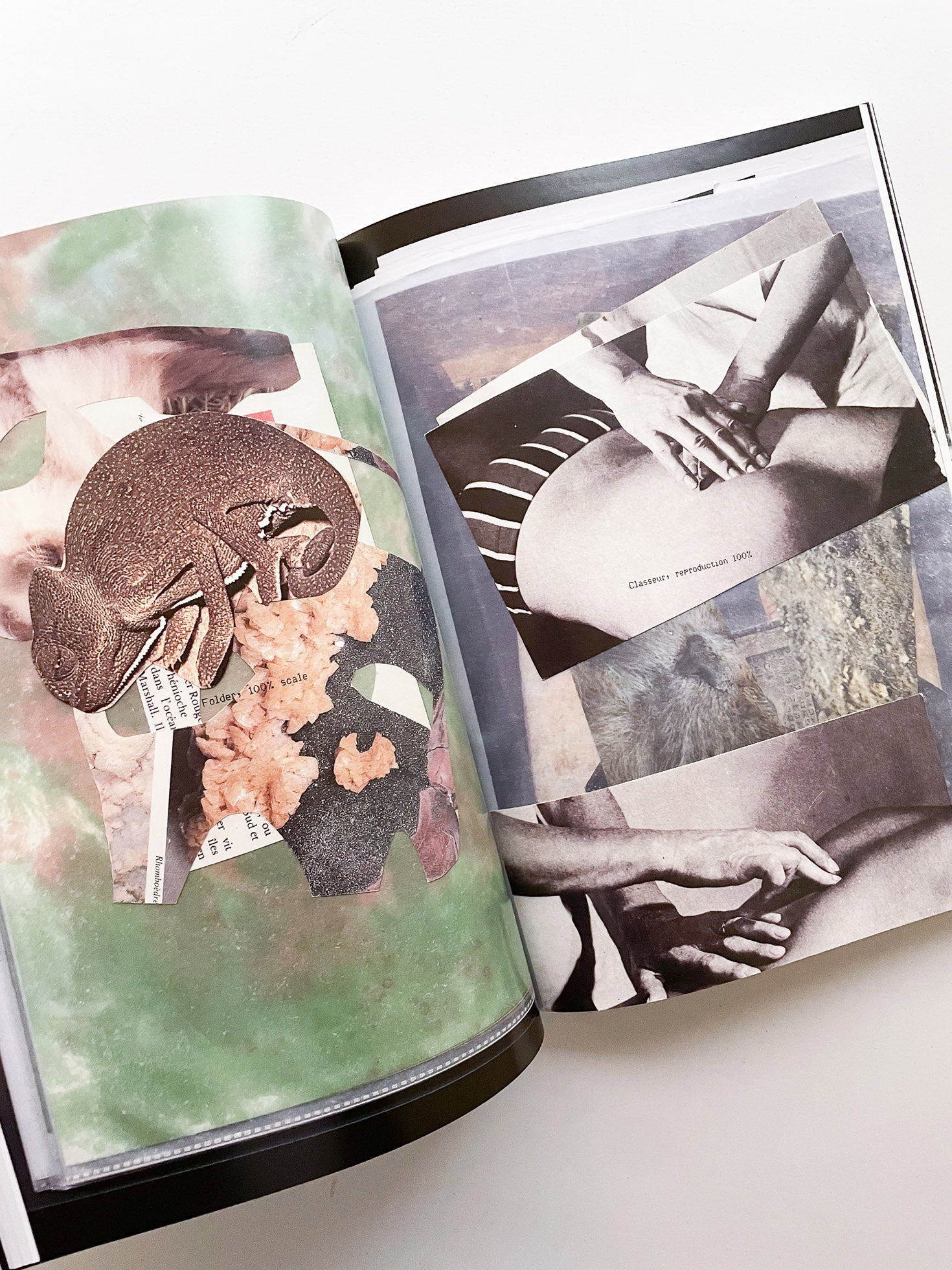 Ensembles / Éléonore False