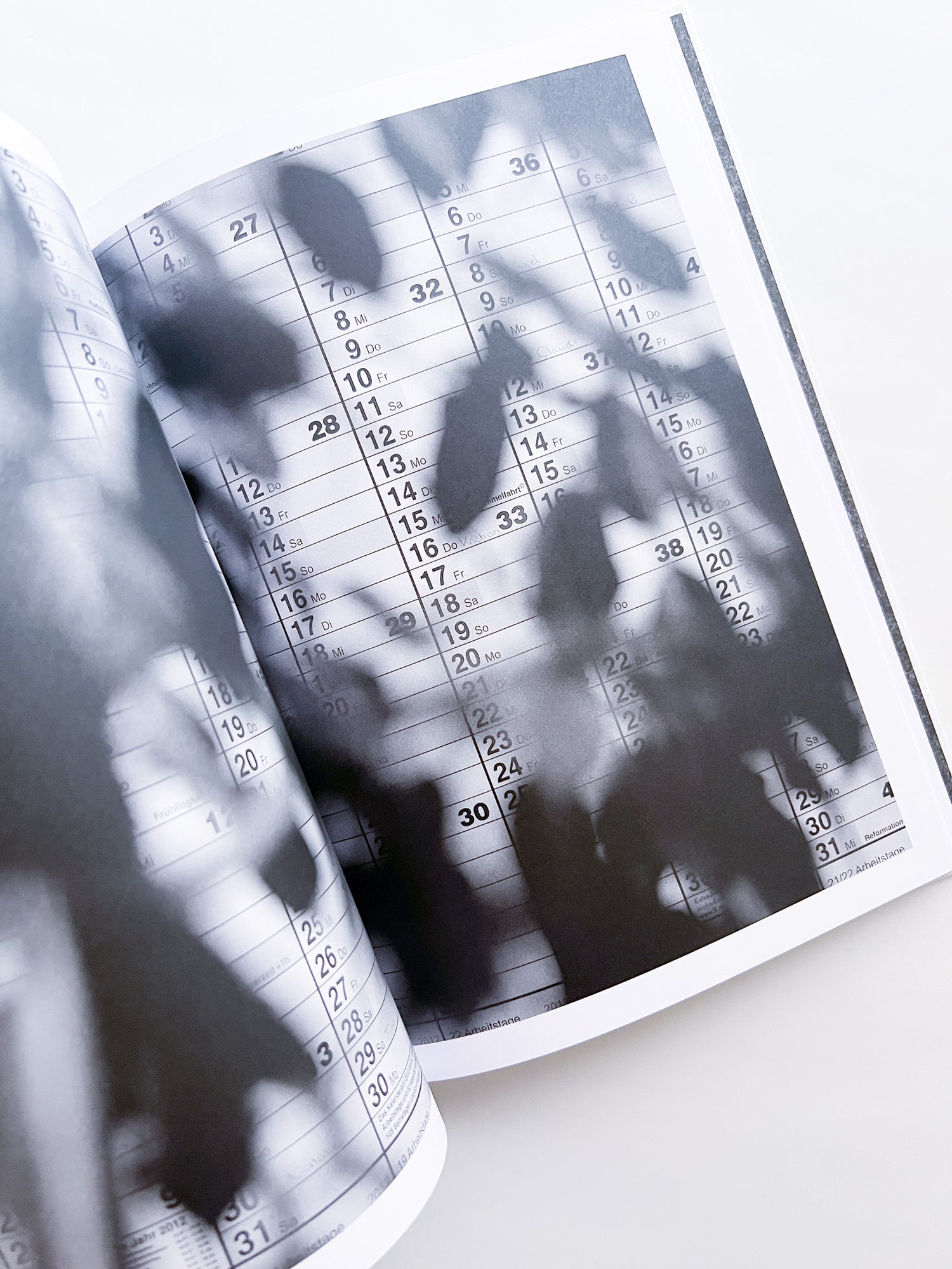 Büropflanze / Saskia Groneberg