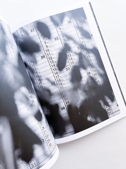 Büropflanze / Saskia Groneberg