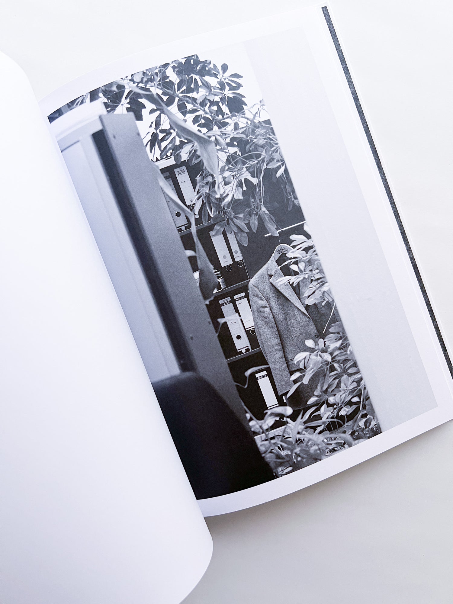 Büropflanze / Saskia Groneberg