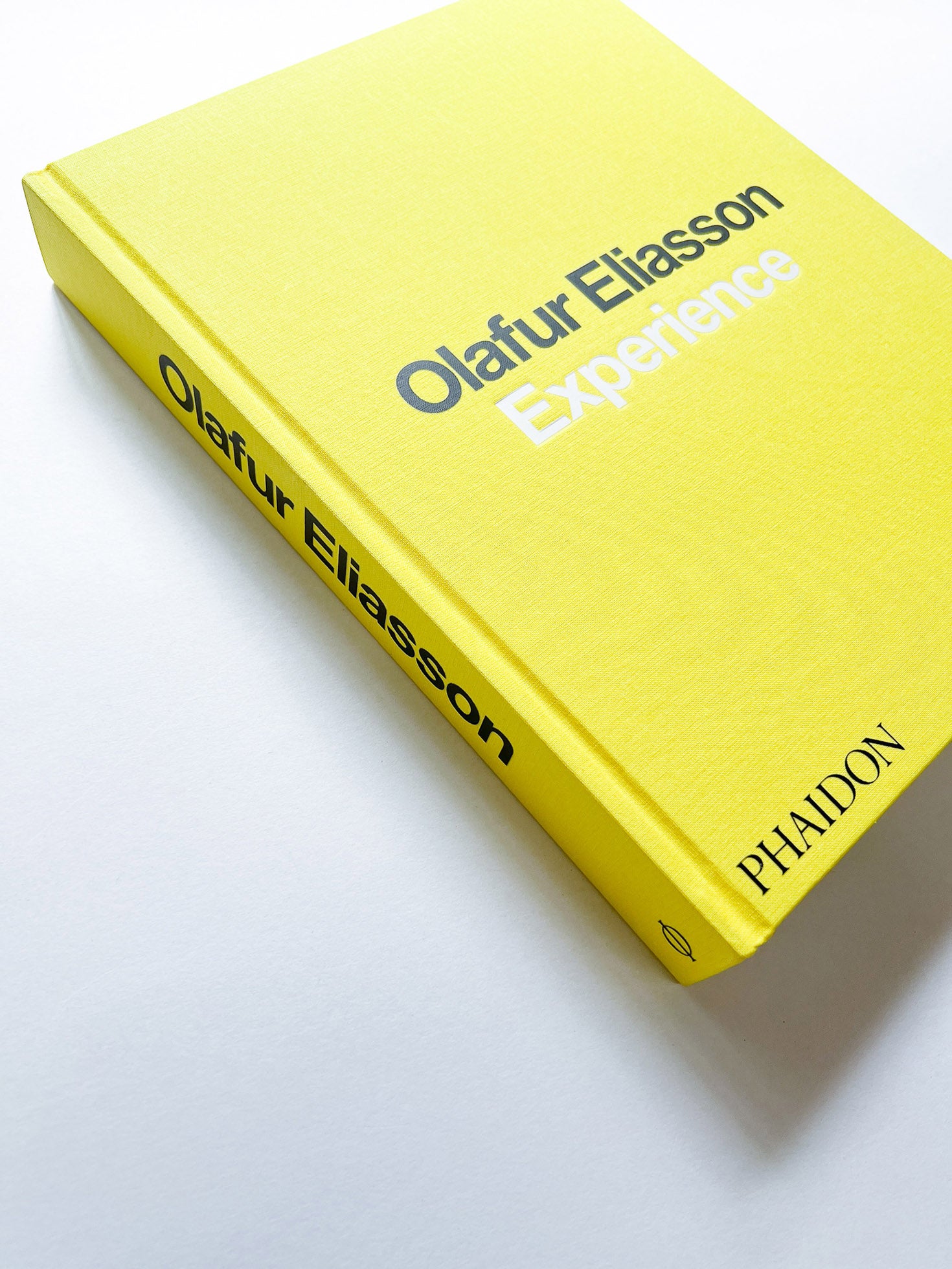 Experience / Olafur Eliasson