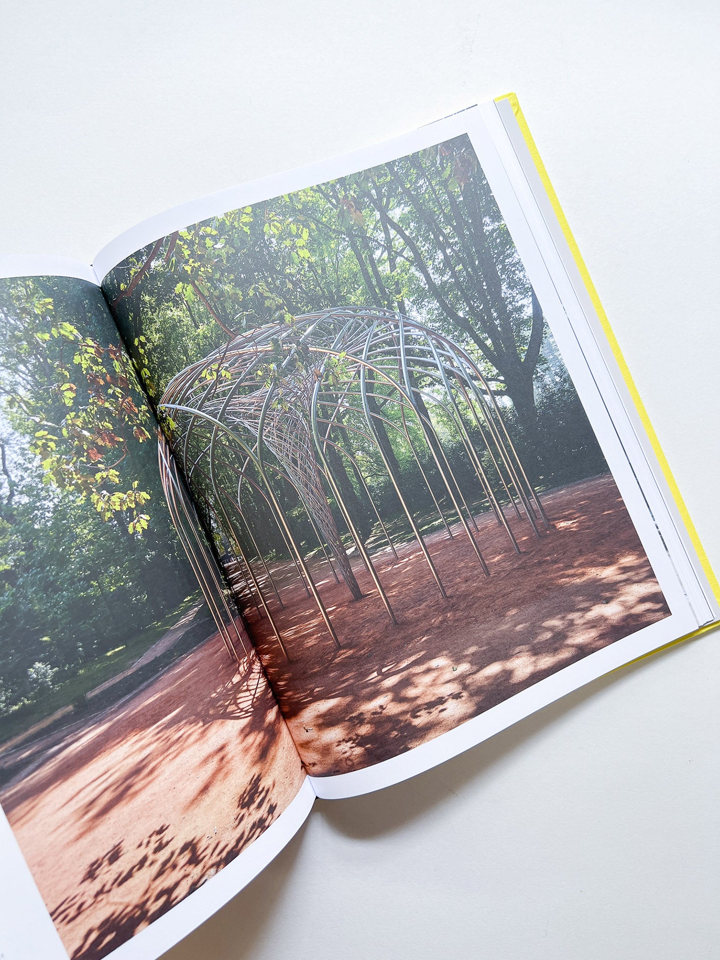 Experience / Olafur Eliasson - 本屋青旗 Ao-Hata Bookstore