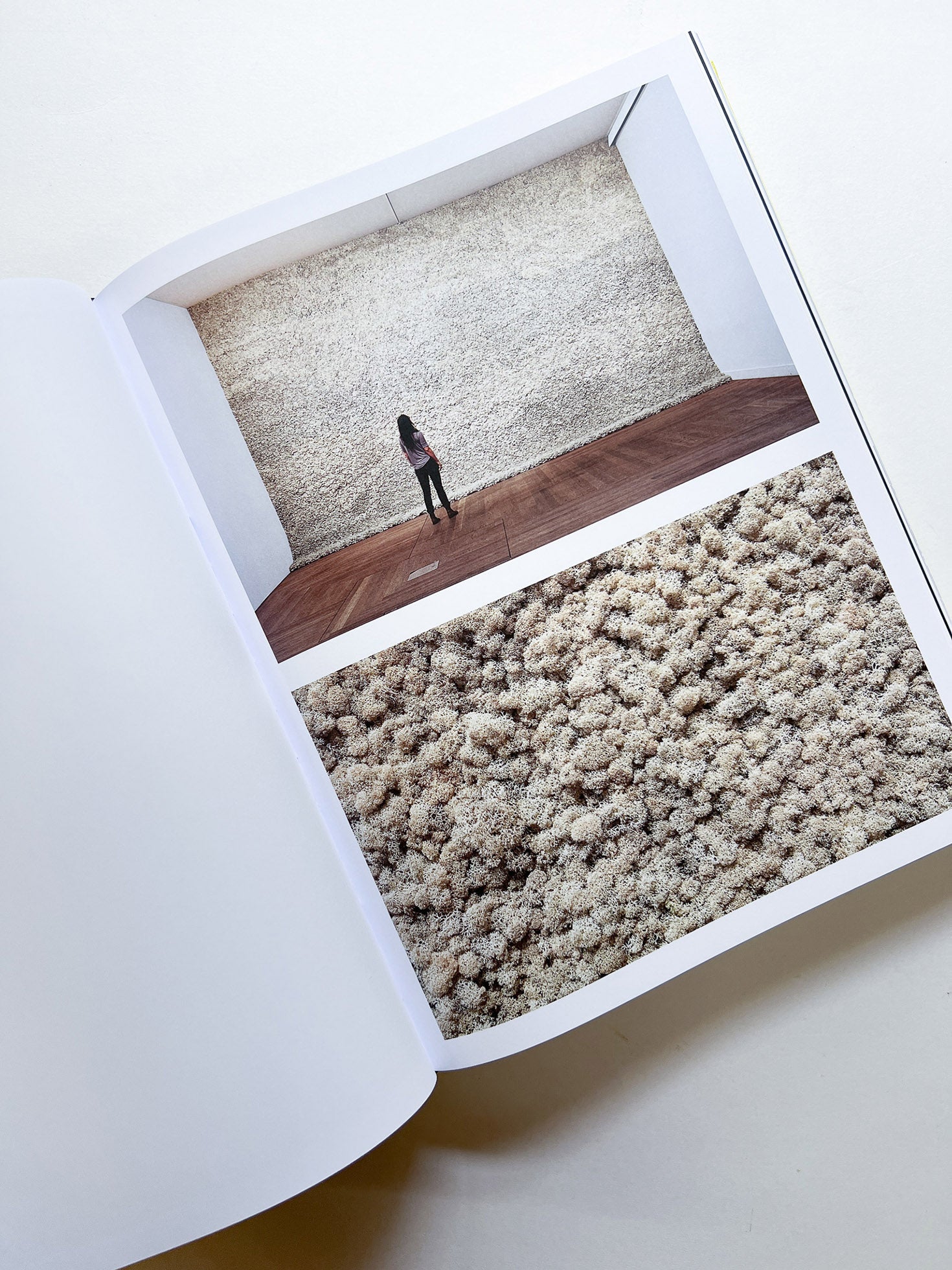 Experience / Olafur Eliasson