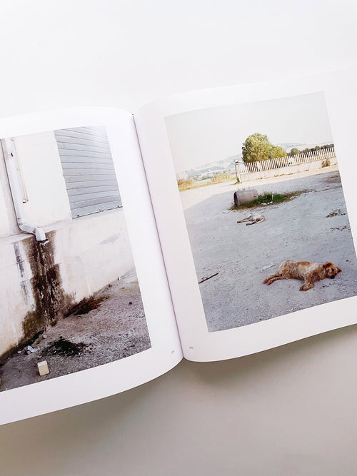 COL TEMPO, 1956–2024 / Guido Guidi [ENGLISH EDITION]