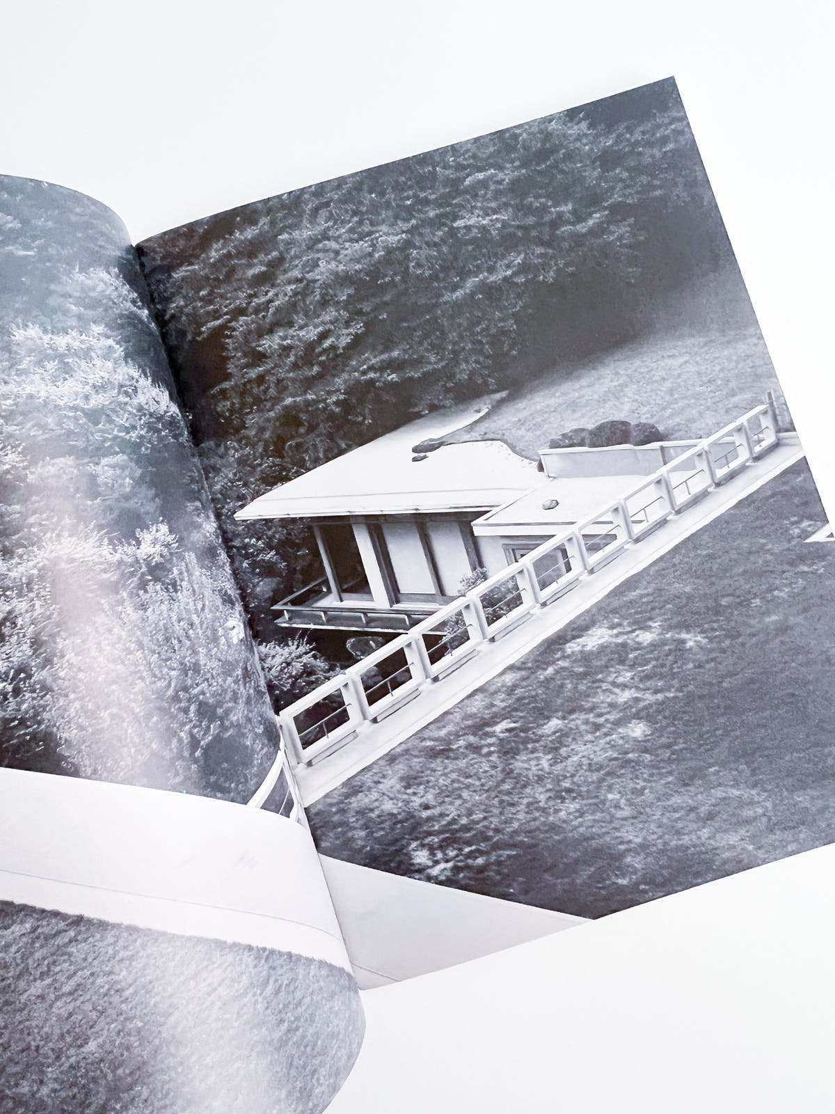 Nikukyu Issue #23 2015 Winter by Sally Scott