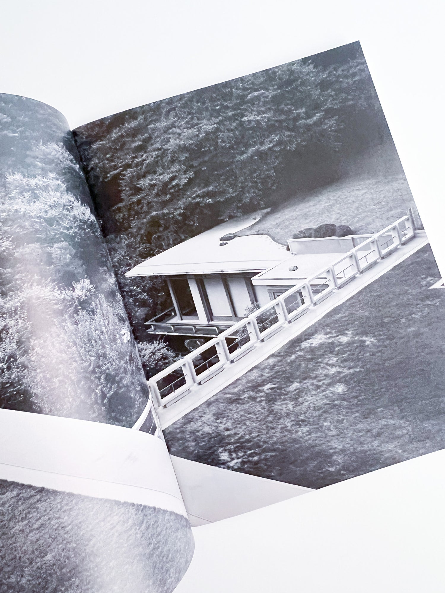 Nikukyu Issue #23 2015 Winter by Sally Scott
