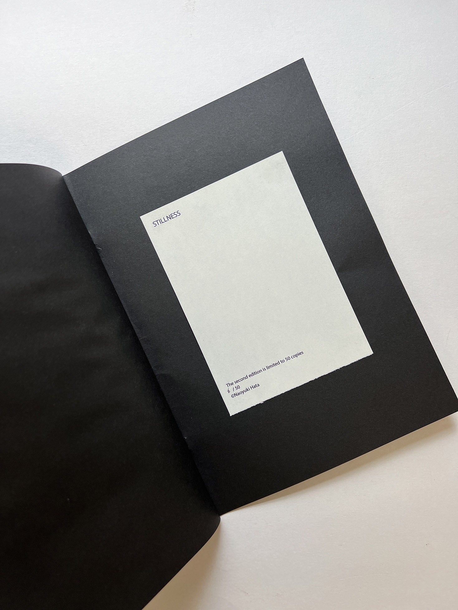 STILLNESS (Second Edition) / Naoyuki Hata