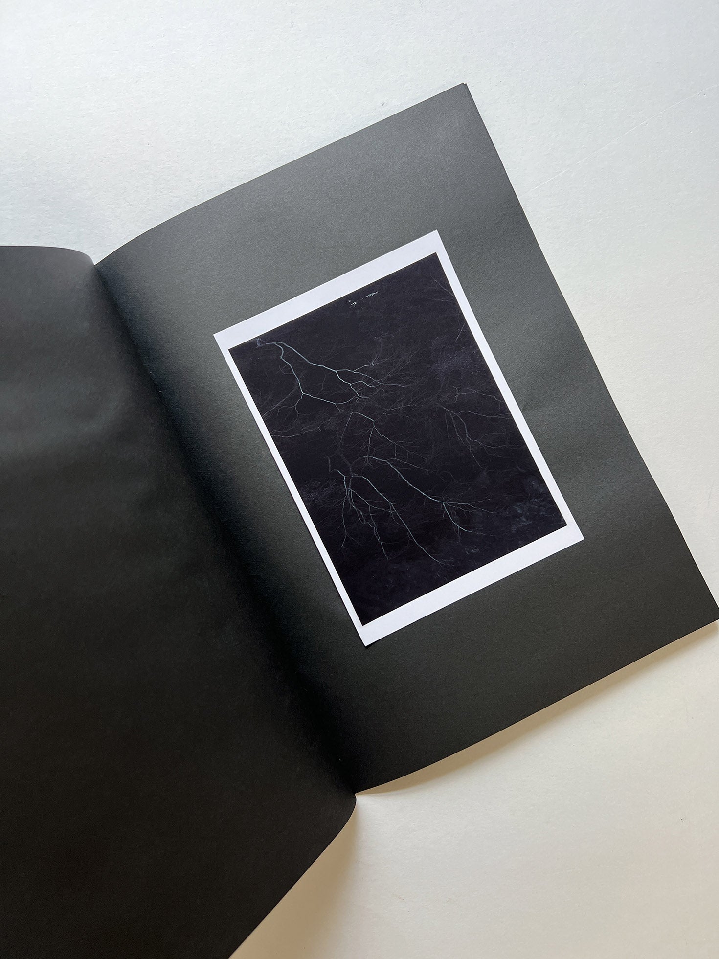 STILLNESS (Second Edition) / Naoyuki Hata