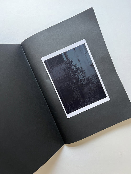 STILLNESS (Second Edition) / Naoyuki Hata