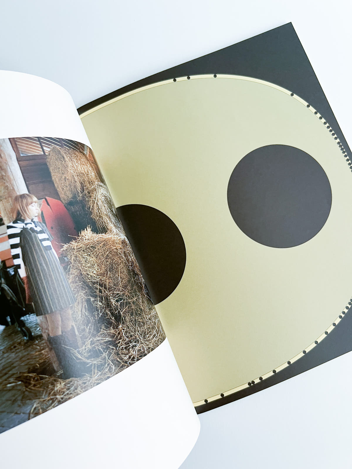 Nikukyu Issue #11 2012 Autumn by Sally Scott