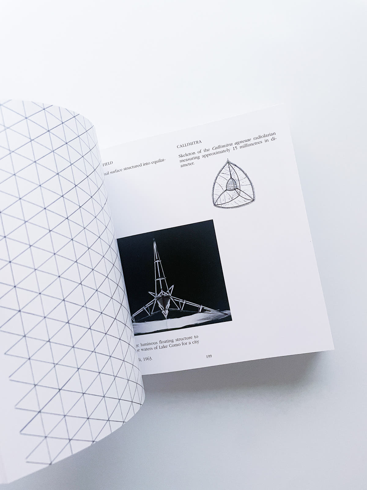 Square, Circle, Triangle / Bruno Munari