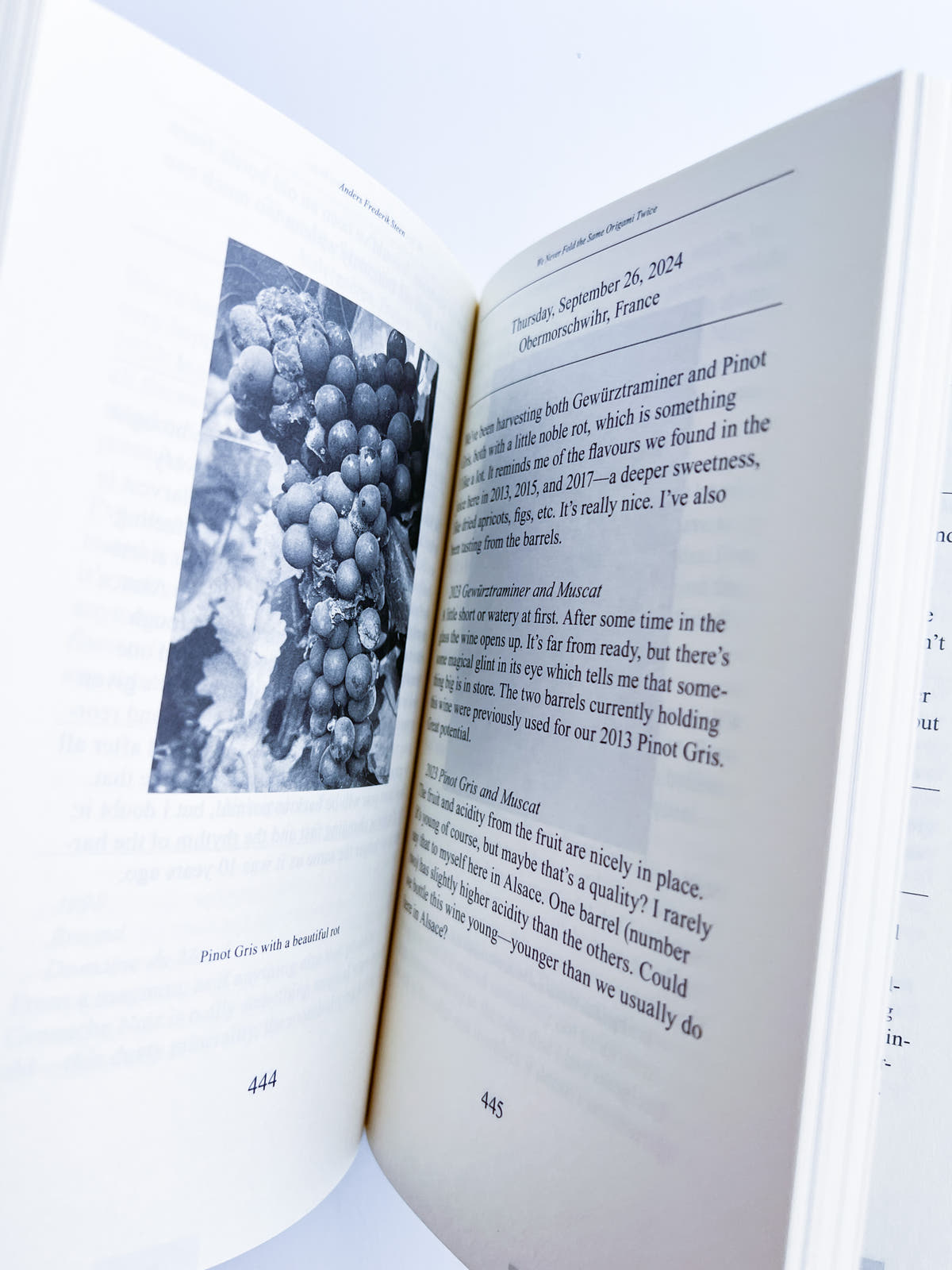 We Never Fold the Same Origami Twice, Anders Frederik Steen (Vol. II)