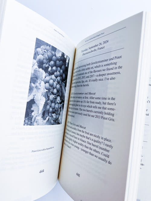 We Never Fold the Same Origami Twice, Anders Frederik Steen (Vol. II)