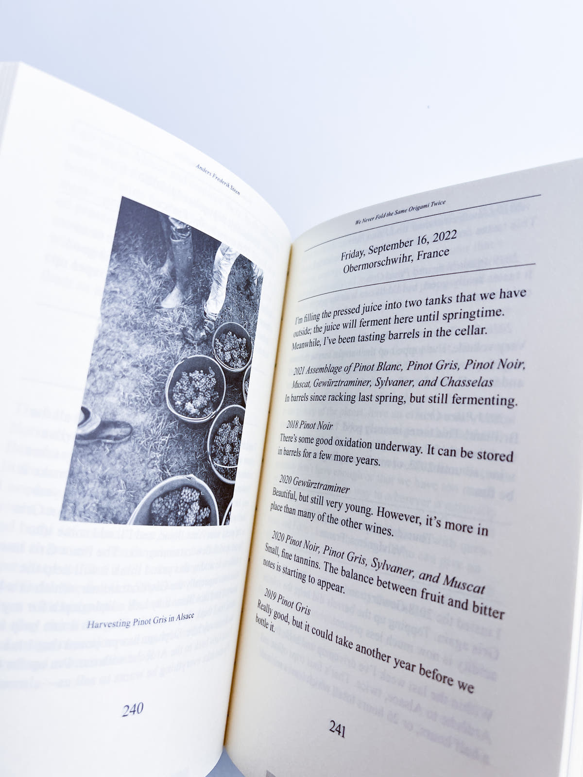 We Never Fold the Same Origami Twice, Anders Frederik Steen (Vol. II)