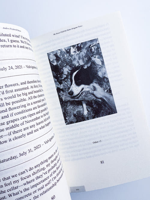 We Never Fold the Same Origami Twice, Anders Frederik Steen (Vol. II)