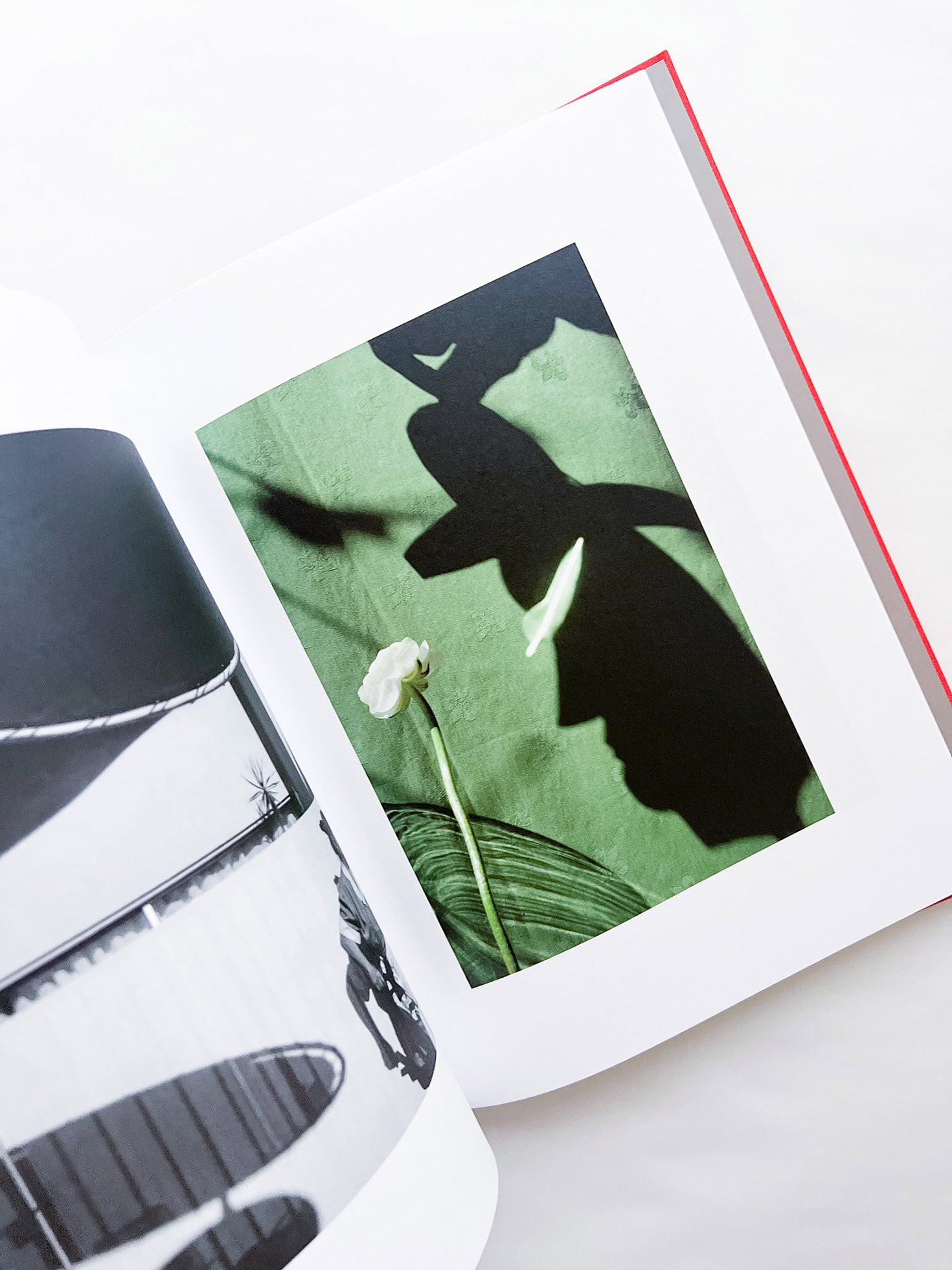 Atlas of Echos / Sarah van Rij