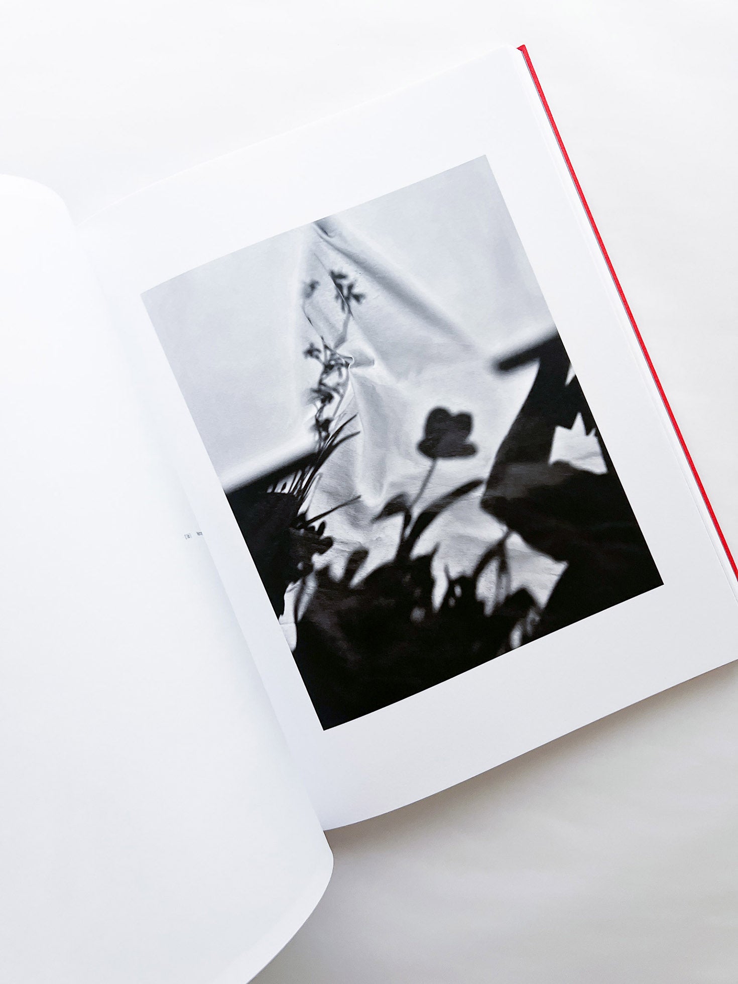 Atlas of Echos / Sarah van Rij