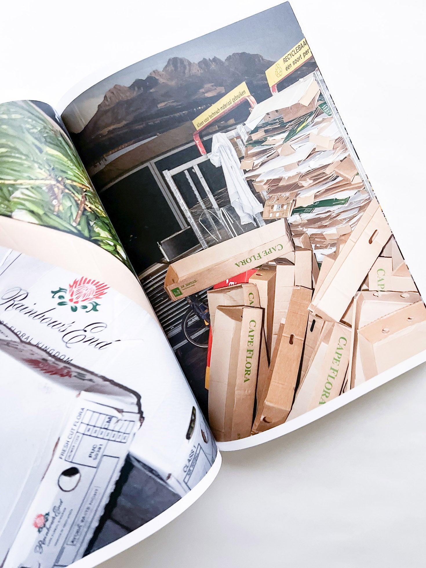 Protean Routes / Jabulani Dhlamini, Jansen van Staden