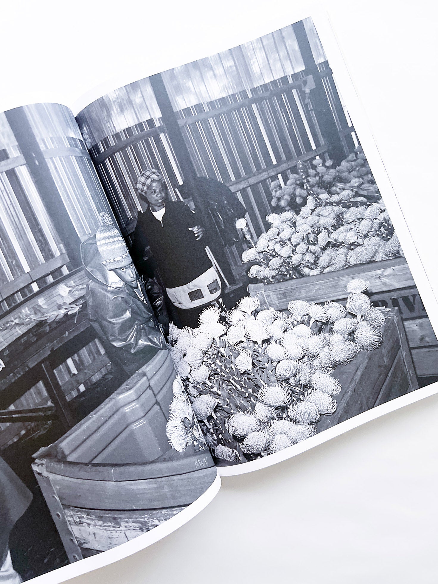 Protean Routes / Jabulani Dhlamini, Jansen van Staden