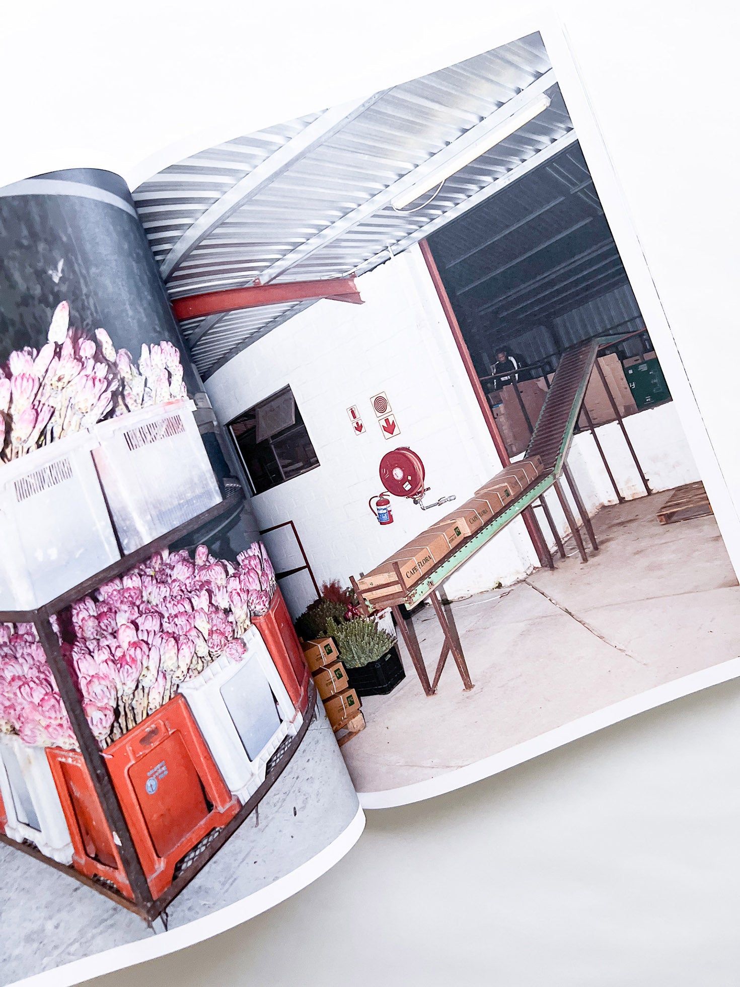 Protean Routes / Jabulani Dhlamini, Jansen van Staden