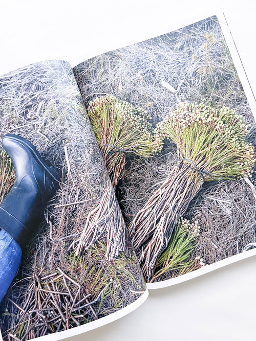 Protean Routes / Jabulani Dhlamini, Jansen van Staden