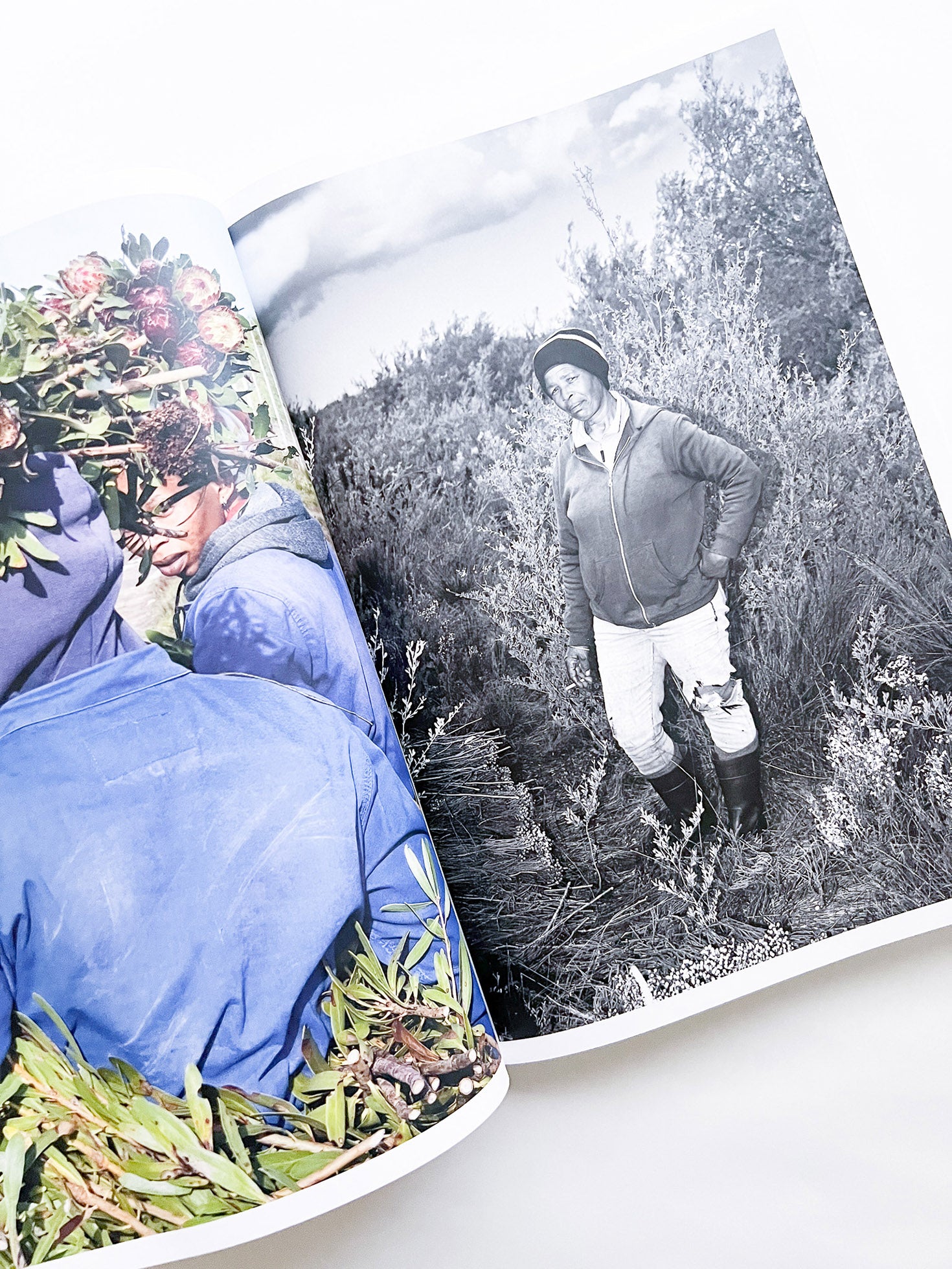 Protean Routes / Jabulani Dhlamini, Jansen van Staden