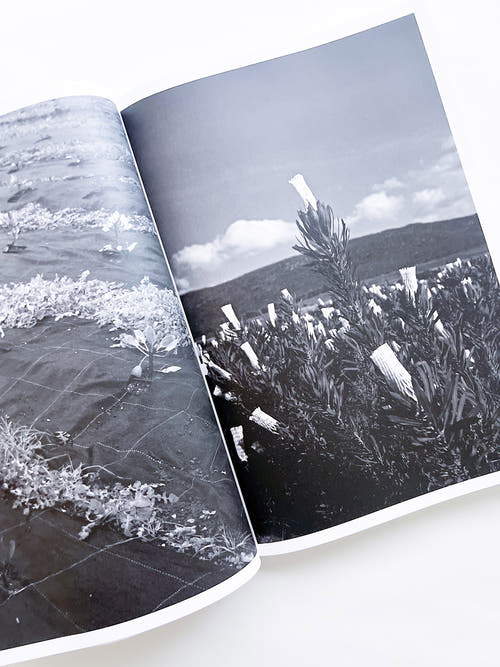 Protean Routes / Jabulani Dhlamini, Jansen van Staden
