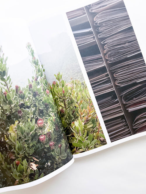 Protean Routes / Jabulani Dhlamini, Jansen van Staden