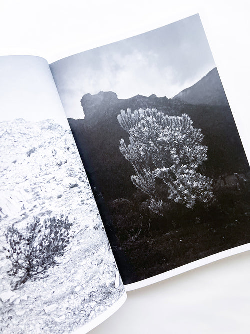 Protean Routes / Jabulani Dhlamini, Jansen van Staden