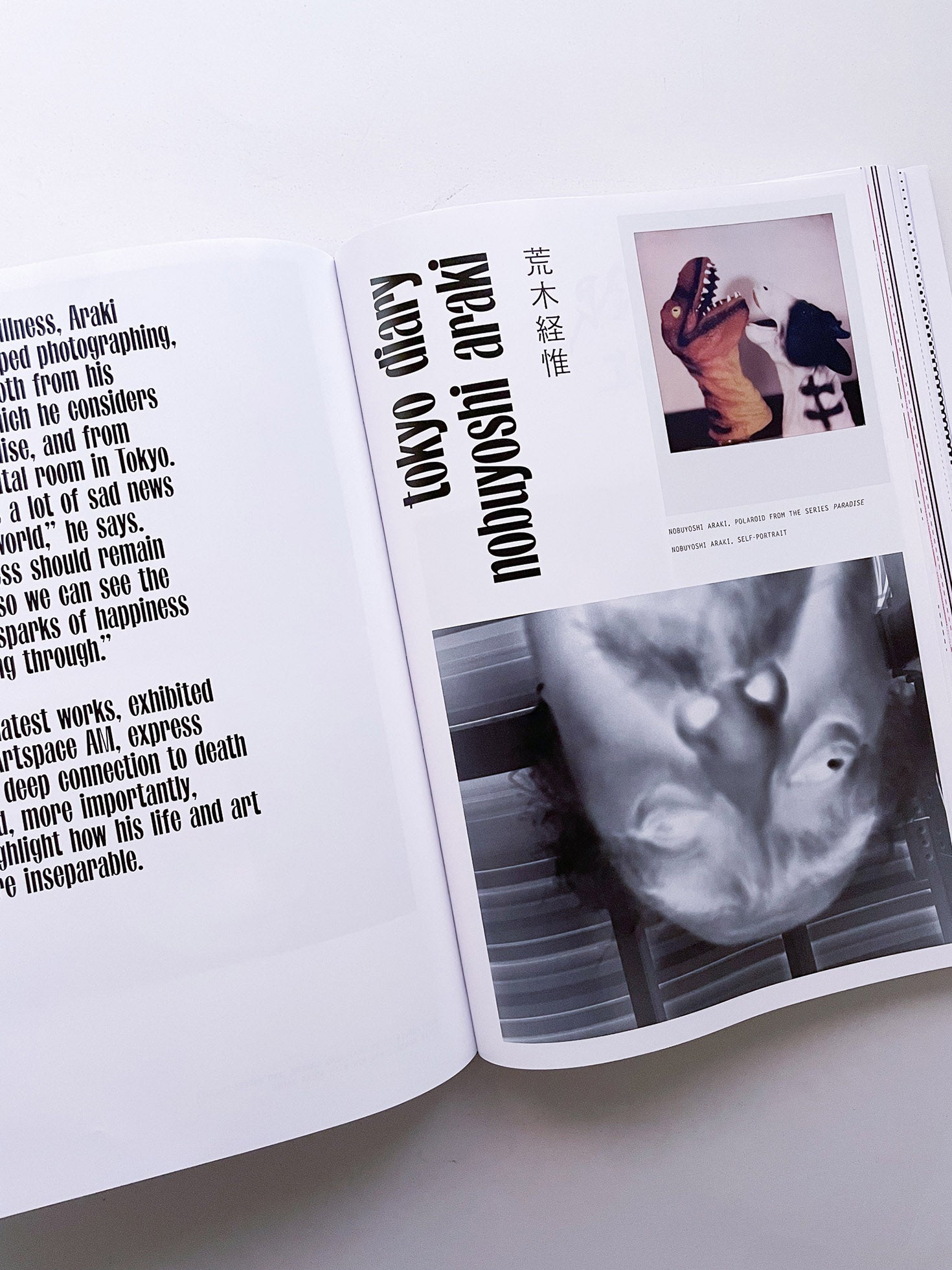 PURPLE #43 The Tokyo Diary Issue