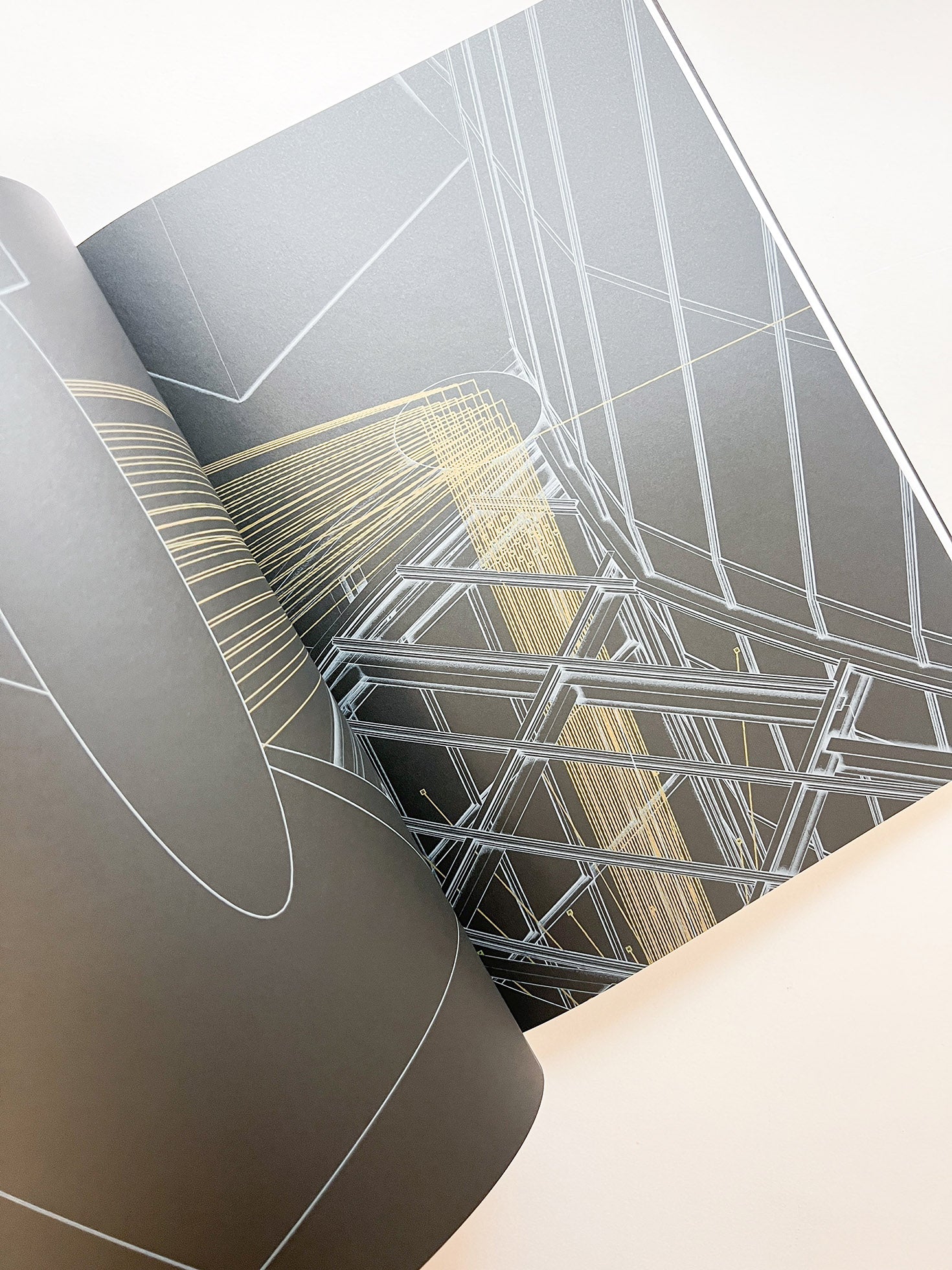 contact / Olafur Eliasson