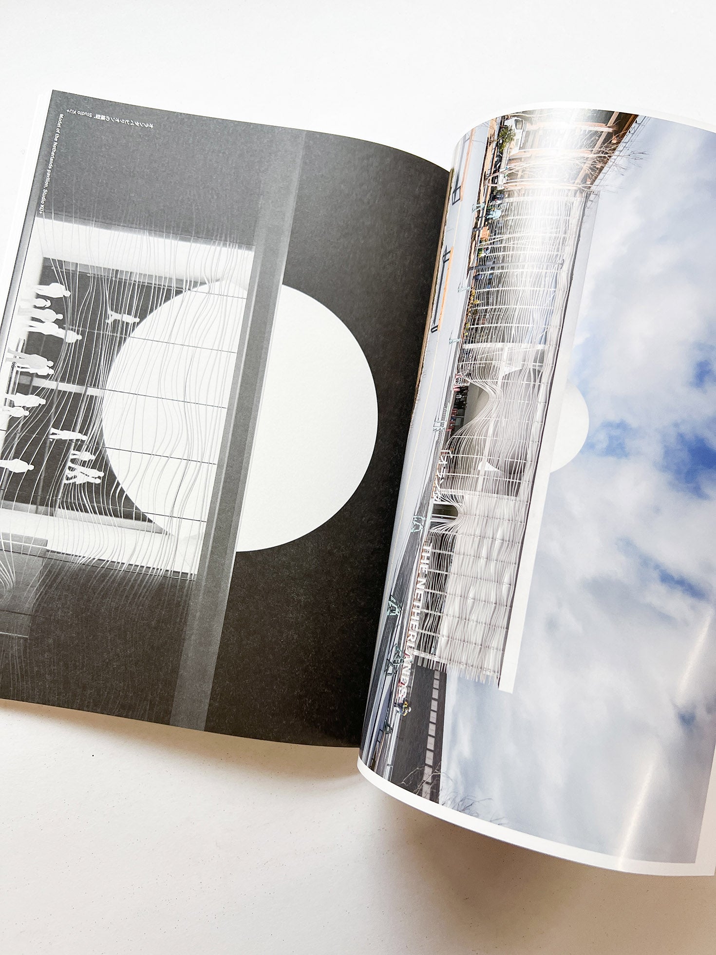 ACTIVATING Common Ground コモングラウンドの活性化