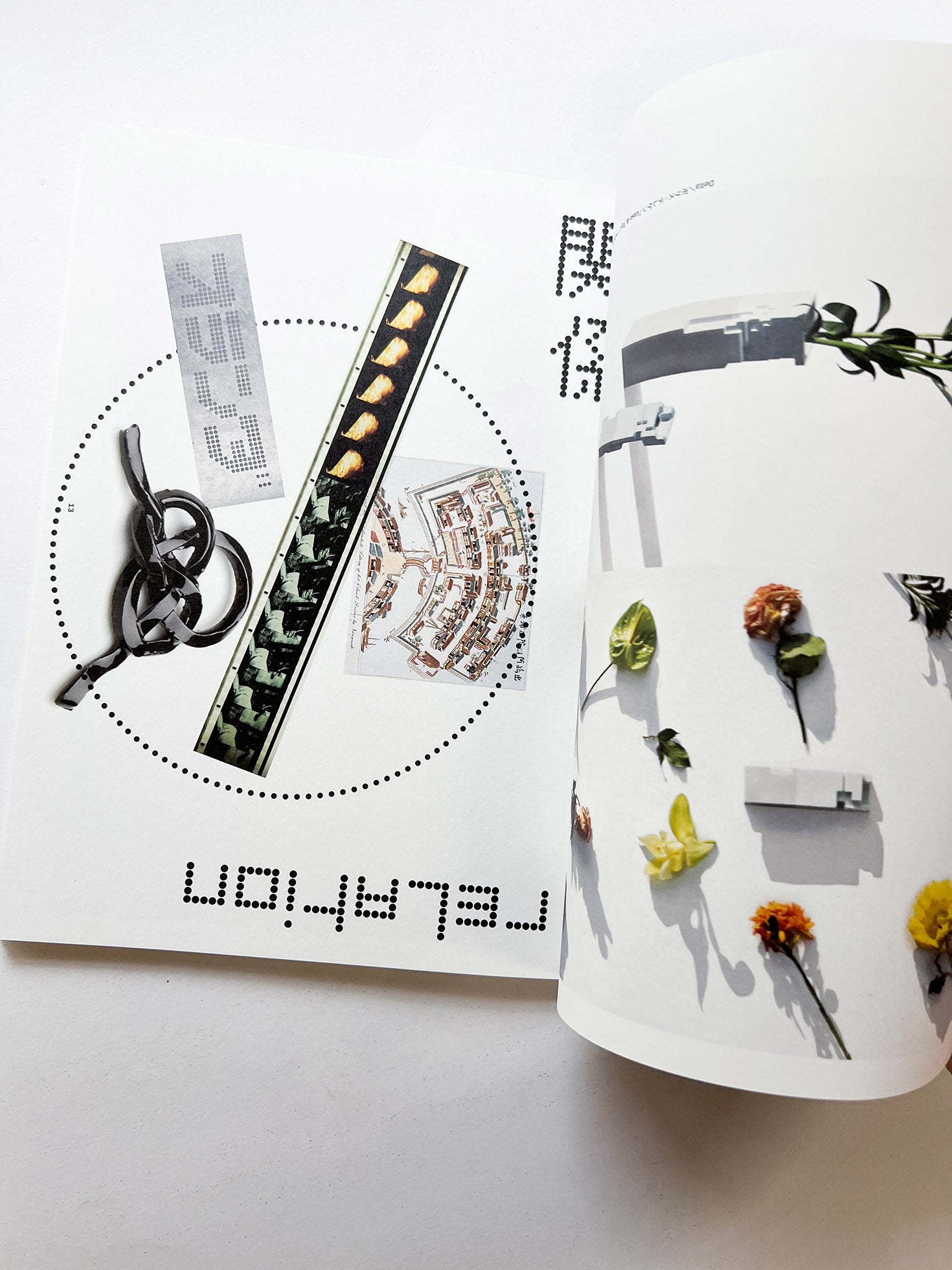 ACTIVATING Common Ground コモングラウンドの活性化