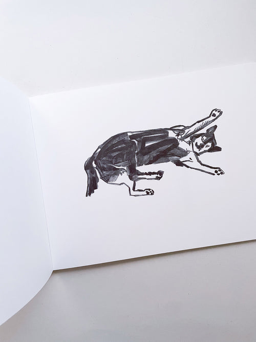 One / Izumi Shiokawa [SIGNED]