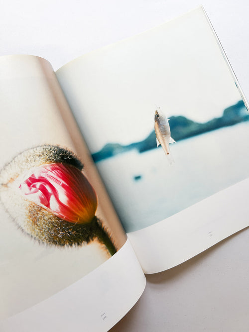 A MAGAZINE CURATED BY YOHJI YAMAMOTO