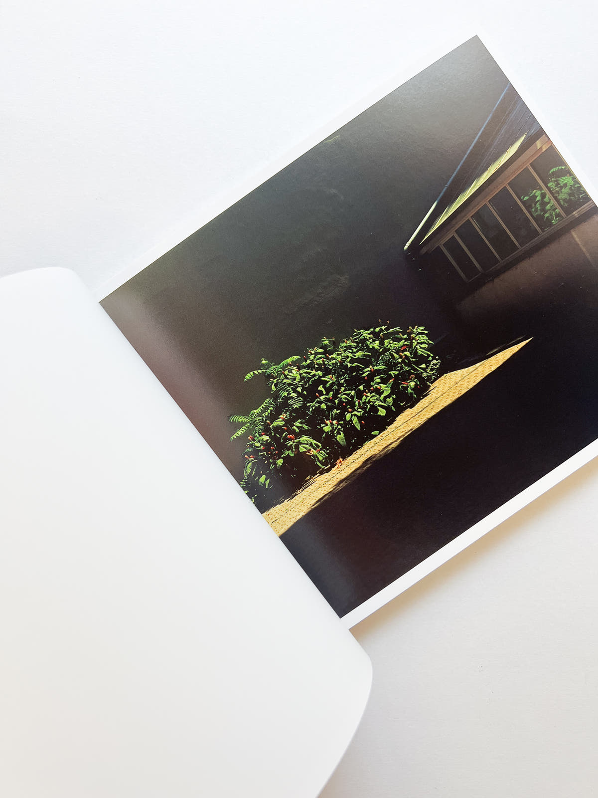 場所 A Place / Hideki Makiguchi