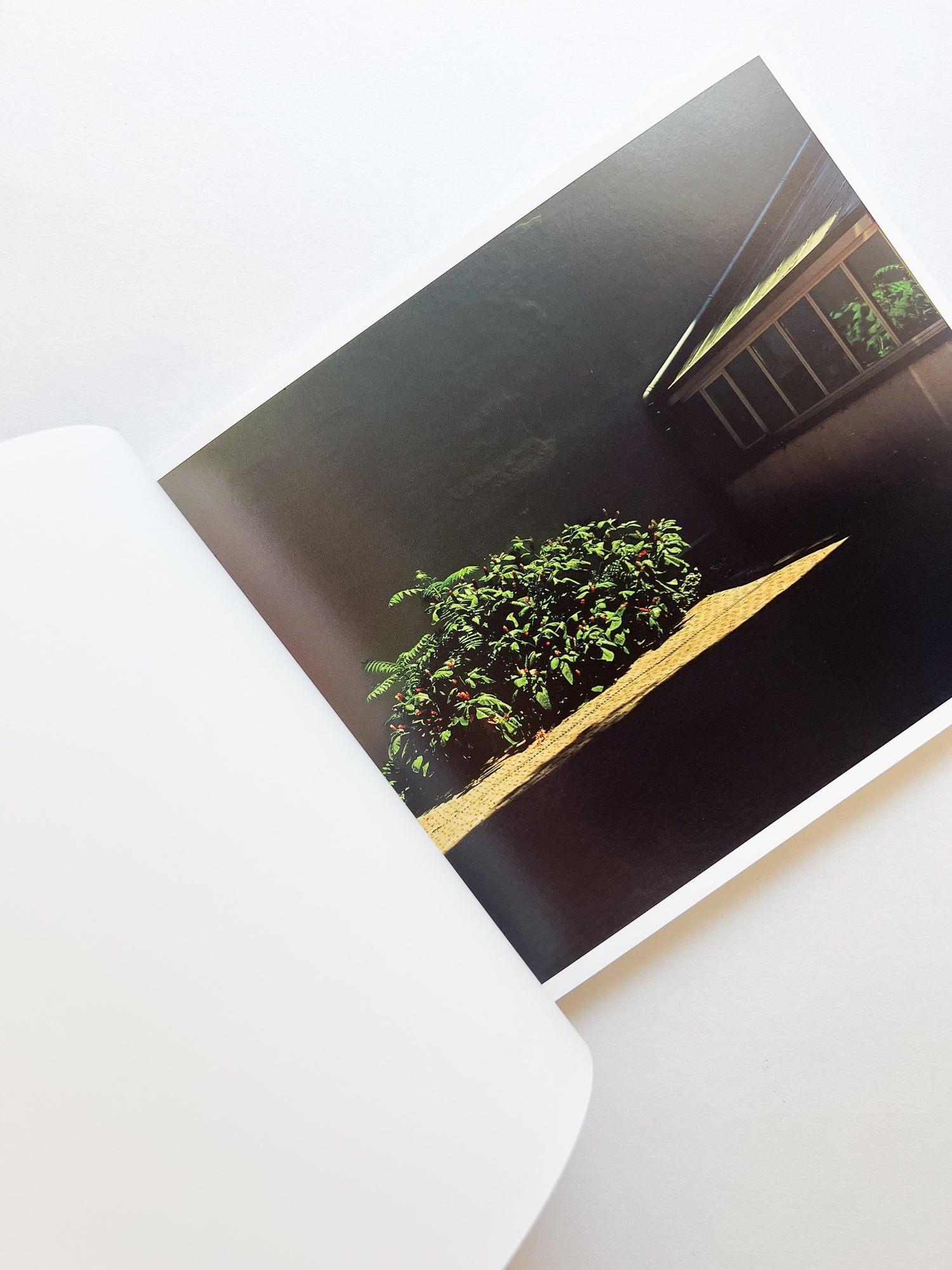 場所 A Place / Hideki Makiguchi