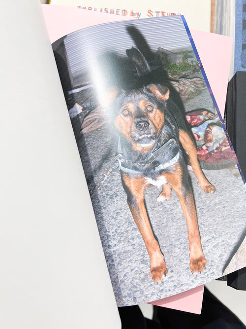 YOUNG GREEN LETTER / Taisuke Nakano, Yosuke Kobashi