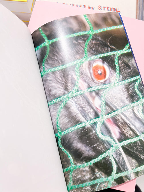 YOUNG GREEN LETTER / Taisuke Nakano, Yosuke Kobashi