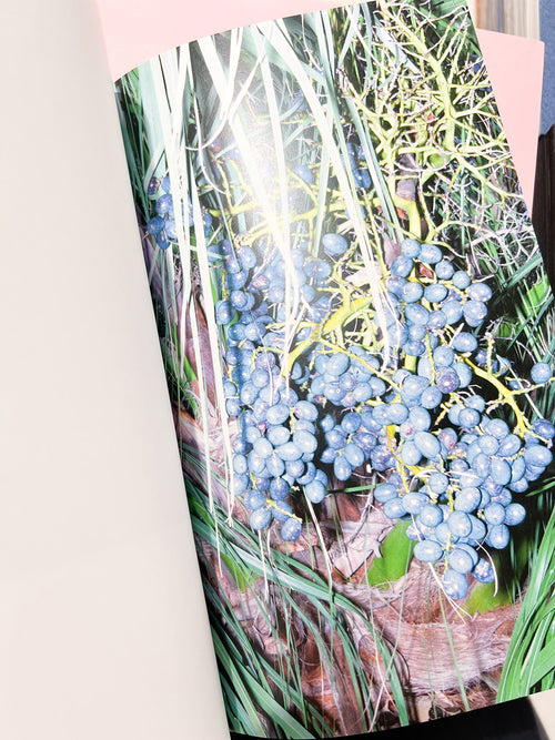 YOUNG GREEN LETTER / Taisuke Nakano, Yosuke Kobashi