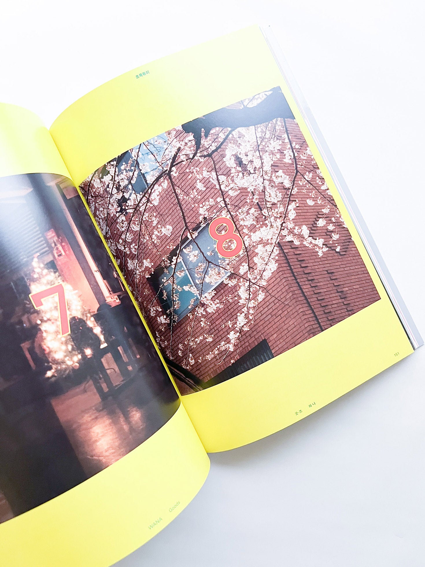 Free: Culture Magazine WANA 2025 vol.12 <굿-즈 와 나>