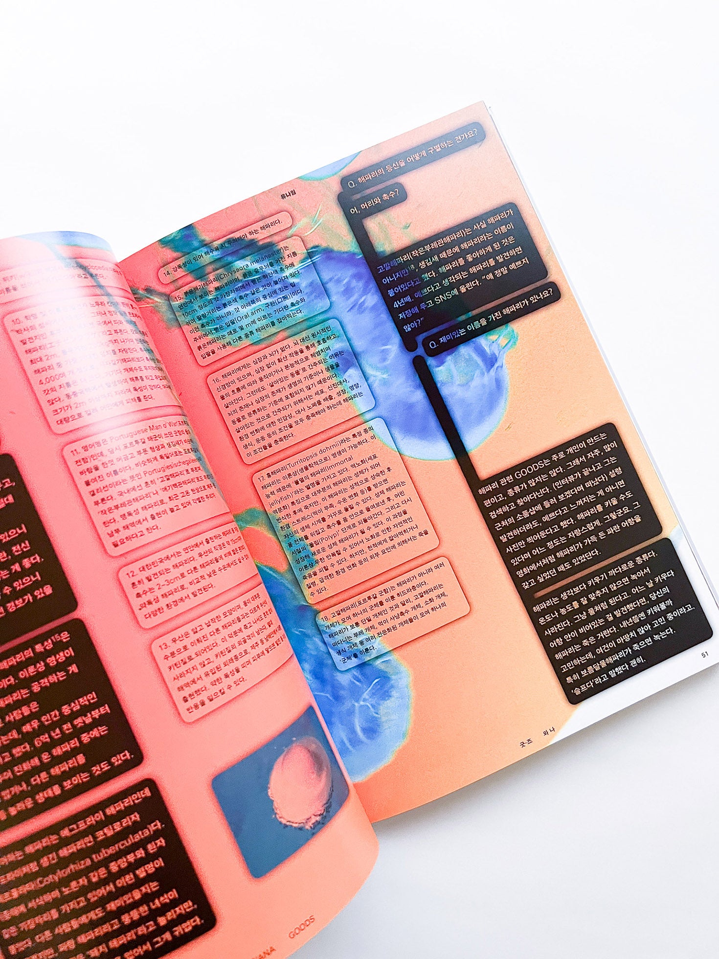 Free: Culture Magazine WANA 2025 vol.12 <굿-즈 와 나>